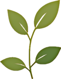 Precision Botanical Formulation